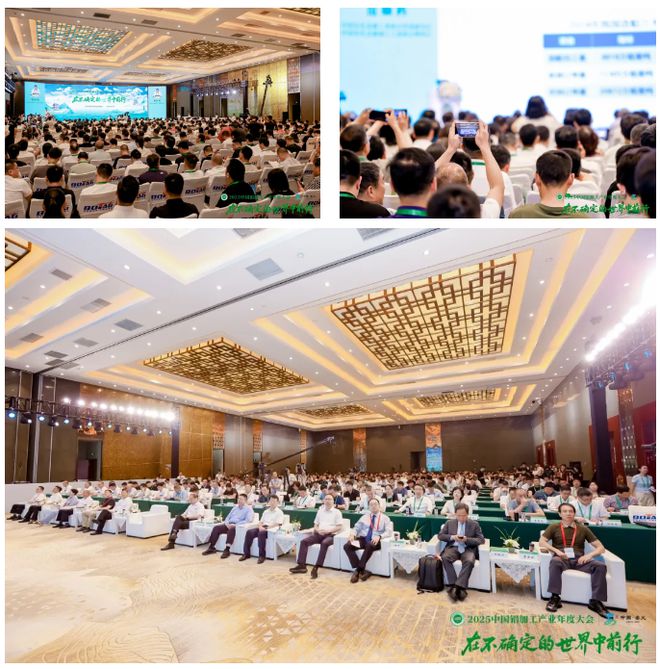 在不確定的世界尋找確定！2025中國(guó)鋁加工產(chǎn)業(yè)年度大會(huì)隆重召開(kāi)